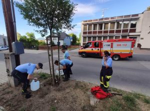 Read more about the article Boli sme požiadaní o spoluprácu pri polievaní mladých stromov