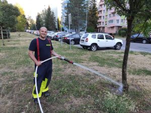 Read more about the article Boli sme opäť polievať mladé stromy
